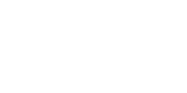 The Learning Guild